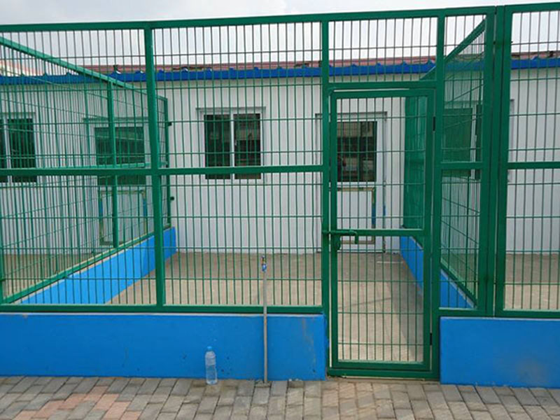 ��ֳ������