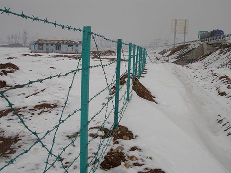 ����˿����դ