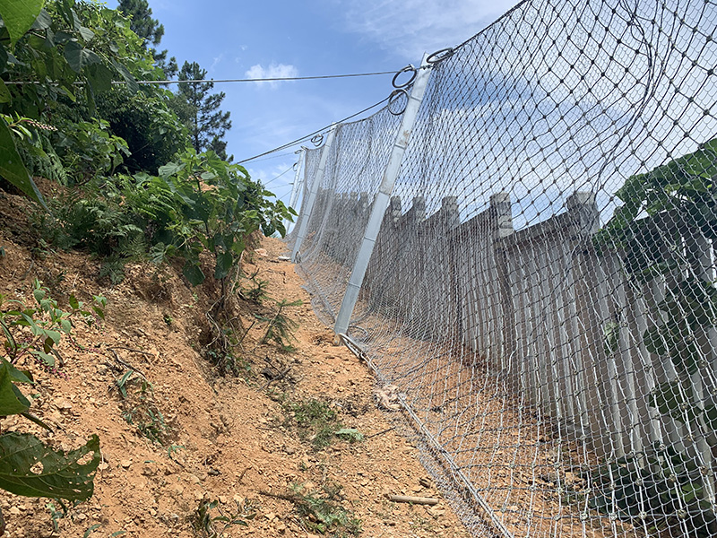 RX-025����������