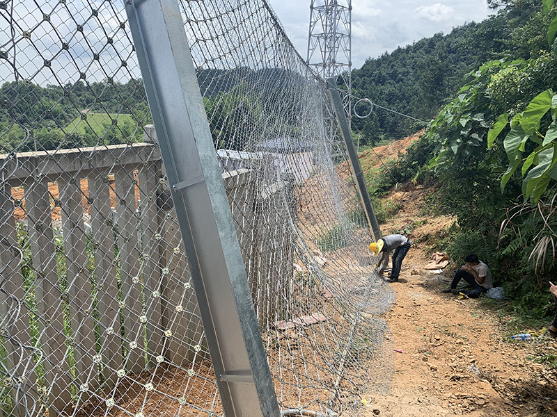 SNS����������