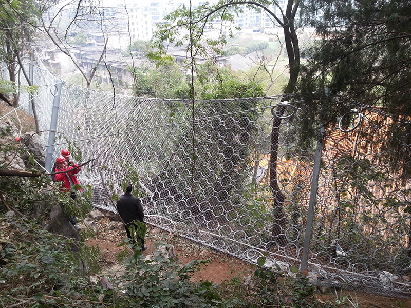 RXI-100����������