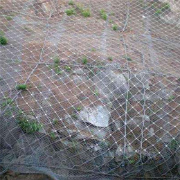 ������������ʽ�뻤������ʹ����